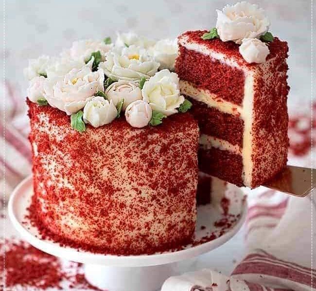 Bolo Red Velvet