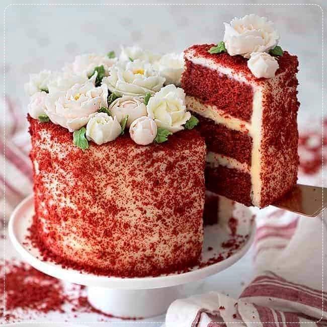 Bolo Red Velvet